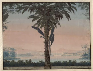 Athalie. Opéra de Johann Nepomuk von Poissl. Projet pour le 4e décor. Jardin du grand prêtre avec un grand palmier devant une étendue d