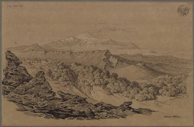 « Dessiné dans la région forestière de l