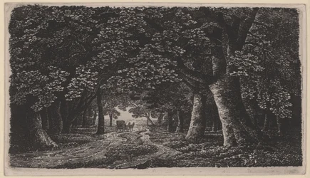 Chemin forestier avec une voiture