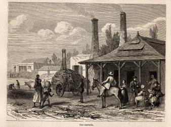 Une usine de sucre de la Rivière du Rempart, à Maurice, dessin par Karl Girardet (1813-1871), pour illustrer le séjour d
