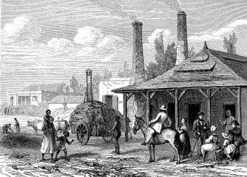 Usine de sucre à Maurice en 1863. Le T du Monde Paris 1863 Éditeur