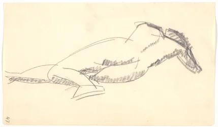 Modèle couché