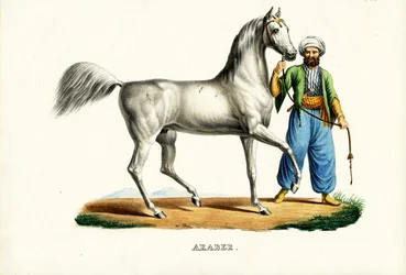 Cheval arabe, 1824