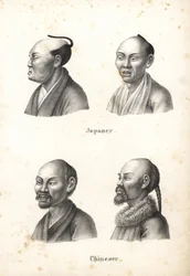 Busts d