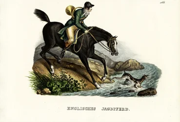 Cheval de chasse anglais, 1824