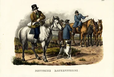 Chevaux de ferme allemands, 1824