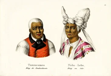 Tammeamea 1er - Roi d