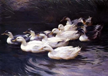 Canards
