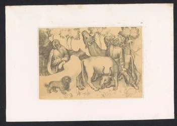 Paul de Thèbes regarde un homme avec deux bœufs