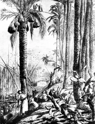 Bords du canal, Mahmoudiyeh, 1880