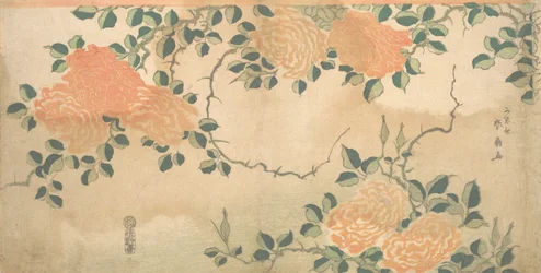 Roses, vers 1810