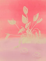 Rêve de framboise
