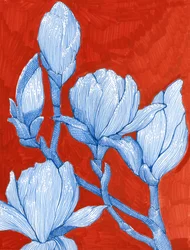Magnolias bleus audacieux