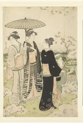 Admiration des fleurs de cerisier à Asukayama