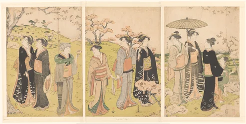 Admiration des fleurs de cerisier à Asukayama