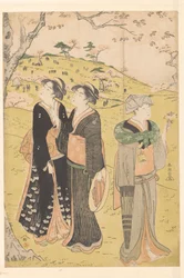 Admiration des cerisiers en fleurs à Asukayama