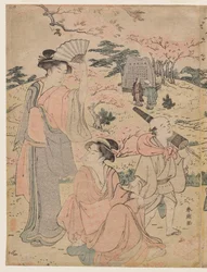 Femmes regardant les cerisiers en fleurs à Asukayama
