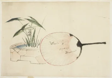 Éventail et arrangement de plantes