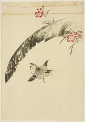 Moineau et feuille de bananier et œillets