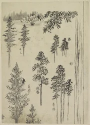 Paysage avec arbres