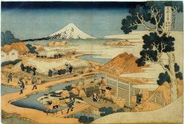 Mont Fuji, vu de la plantation de thé à Katakura, province de Suruga