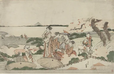 Admiration des fleurs de cerisier à Gotenyama