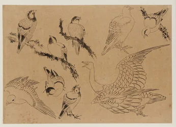 Oiseaux, période Edo, fin du XVIIIe-début du XIXe siècle