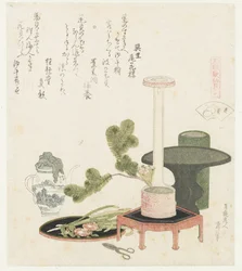 Coquillage de fleur