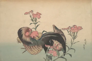 Coq, poule et œillet nadeshiko, Dianthus superbus.