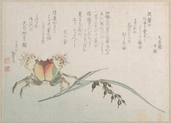 Usine de crabe et de riz
