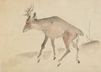 Cerf, fin 18e-début 19e siècle