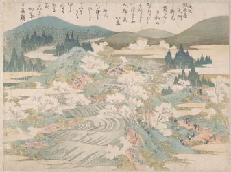 Les cerisiers en fleurs le long de la rivière Yoshino