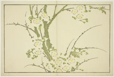 Fleurs, du Livre d