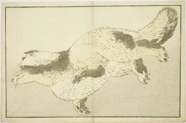 Renard, du Livre d