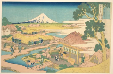 Le mont Fuji vu depuis les plantations de thé de Katakura à Suruga (Sunshū Katakura chaen no Fuji), tiré de la série « Les trente-six vues du mont Fuji » (Fugaku sanjūrokkei)
