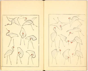 Livre illustré