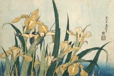 Iris avec une sauterelle, publié en 1830