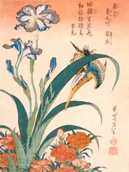 Martin-pêcheur, iris et œillets, publié c. 1834