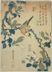 Oiseau Paddy et fleurs de magnolia (Buncho, kobushi no hana), d
