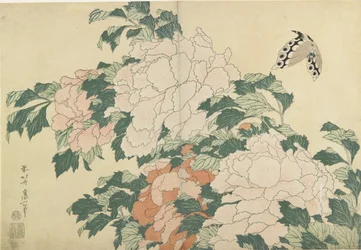 Pivoines et papillon, c. 1830-1831