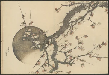 Fleur de prunier et lune du livre Mont Fuji au printemps (Haru no Fuji)
