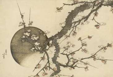 Fleur de prunier et la lune du livre Mont Fuji au printemps