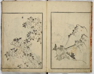 Esquisses aléatoires de Hokusai