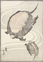 Étang Sayama-ga-ike dans la province de Musashi, 1817