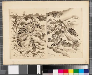 Scènes de la guerre entre le Japon et la Corée, fin du XVIIIe-première moitié du XIXe siècle