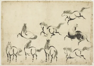 Études de chevaux, vers 1815-1849