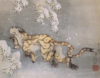 Tigre dans une tempête de neige