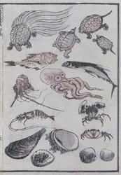 Créatures sous-marines, d
