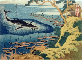 Chasse à la baleine devant les îles Gotô