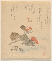 Crabes avec branche de roses chinoises